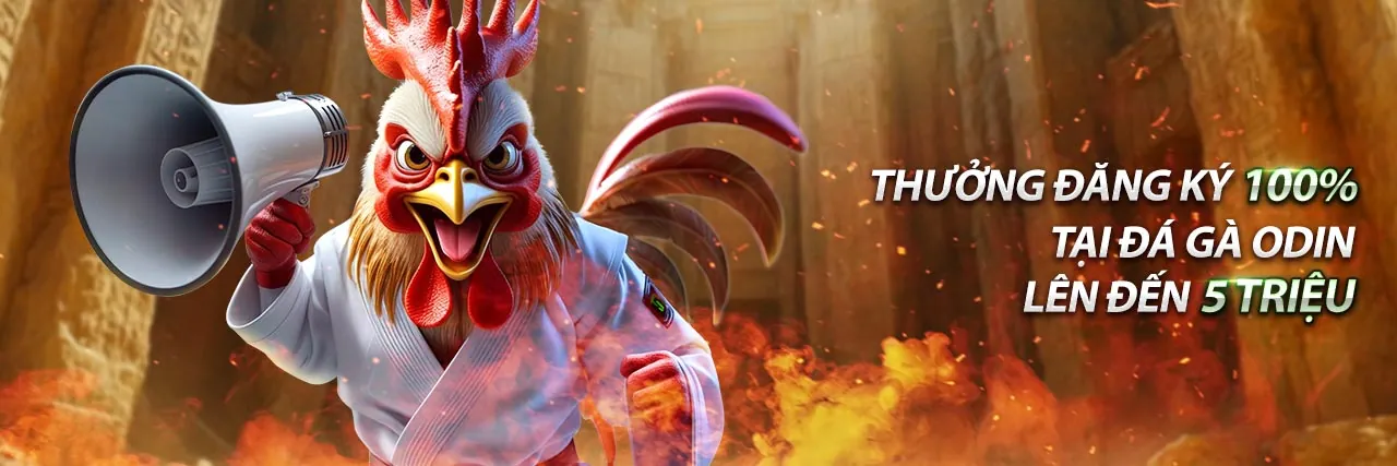 Khuyến mãi đá gà W88 link moi